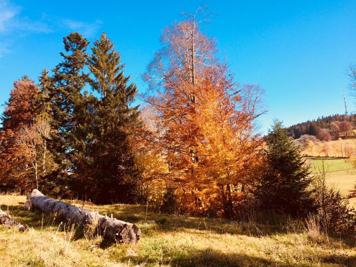 ラショー・ド・フォン La Ferme Des Aretes Bed & Breakfast エクステリア 写真