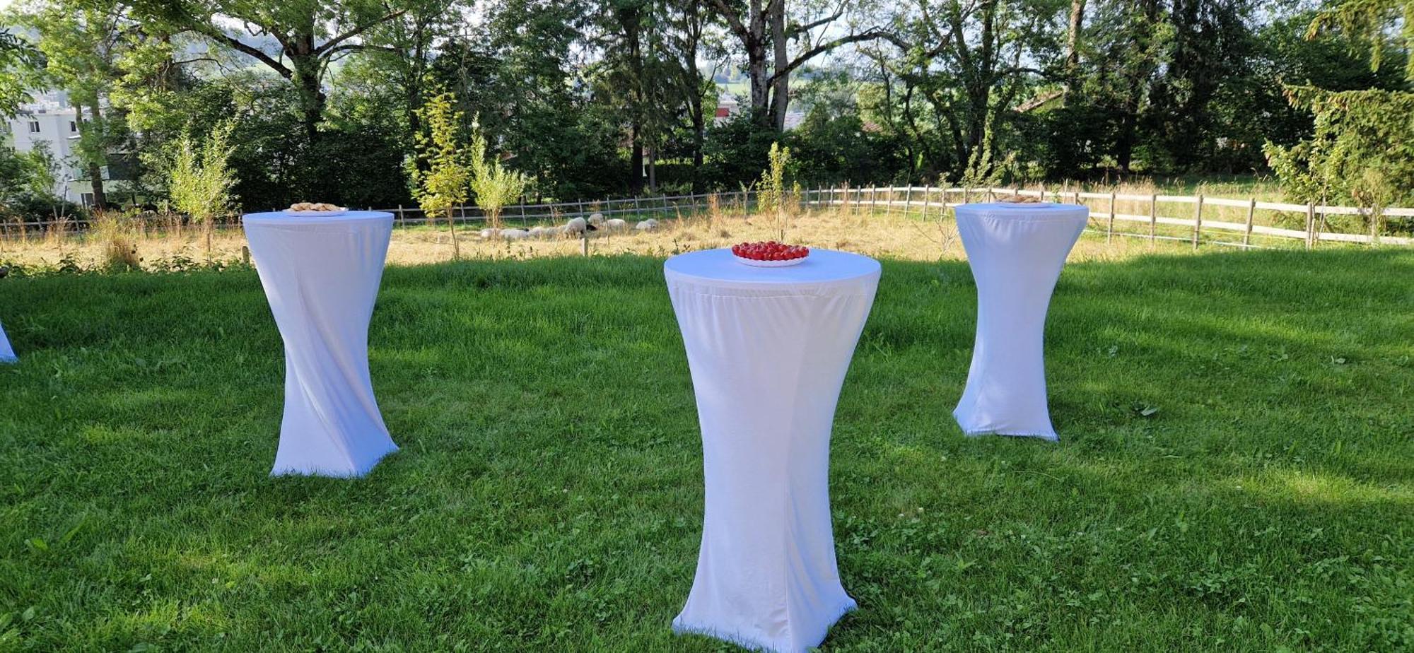 ラショー・ド・フォン La Ferme Des Aretes Bed & Breakfast エクステリア 写真